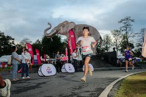 BIB: 
                            <button type="button" onclick="openModal(26529404)" class="btn btn-primary btn-sm float-right btn-popup" data-toggle="modal" data-target=".modal-high-quality">
                        <i class="fas fa-shopping-cart"></i> Add to Cart
                    </button>
                                            <button type="button" onclick="isThisMe(26529404, true)" class="btn btn-success btn-sm float-right btn-popup btn-isme hidden" data-toggle="tooltip" data-placement="bottom" title="นี่คือรูปของคุณใช่ไหม คลิกที่นี่เพื่อเอาเข้าอัลบั้ม">
                        <i class="fas fa-plus"></i> Add to album
                    </button>
                    <button type="button" onclick="isThisMe(26529404, false)" class="btn btn-warning btn-sm float-right btn-popup btn-isnotme hidden">
                        <i class="fas fa-ban"></i> Remove from album
                    </button>